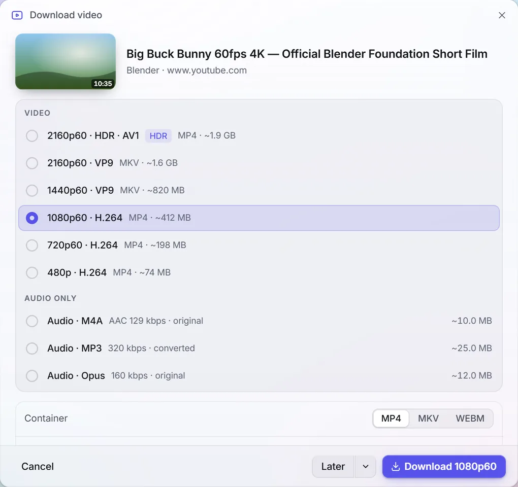 Download video dialog in the light theme.